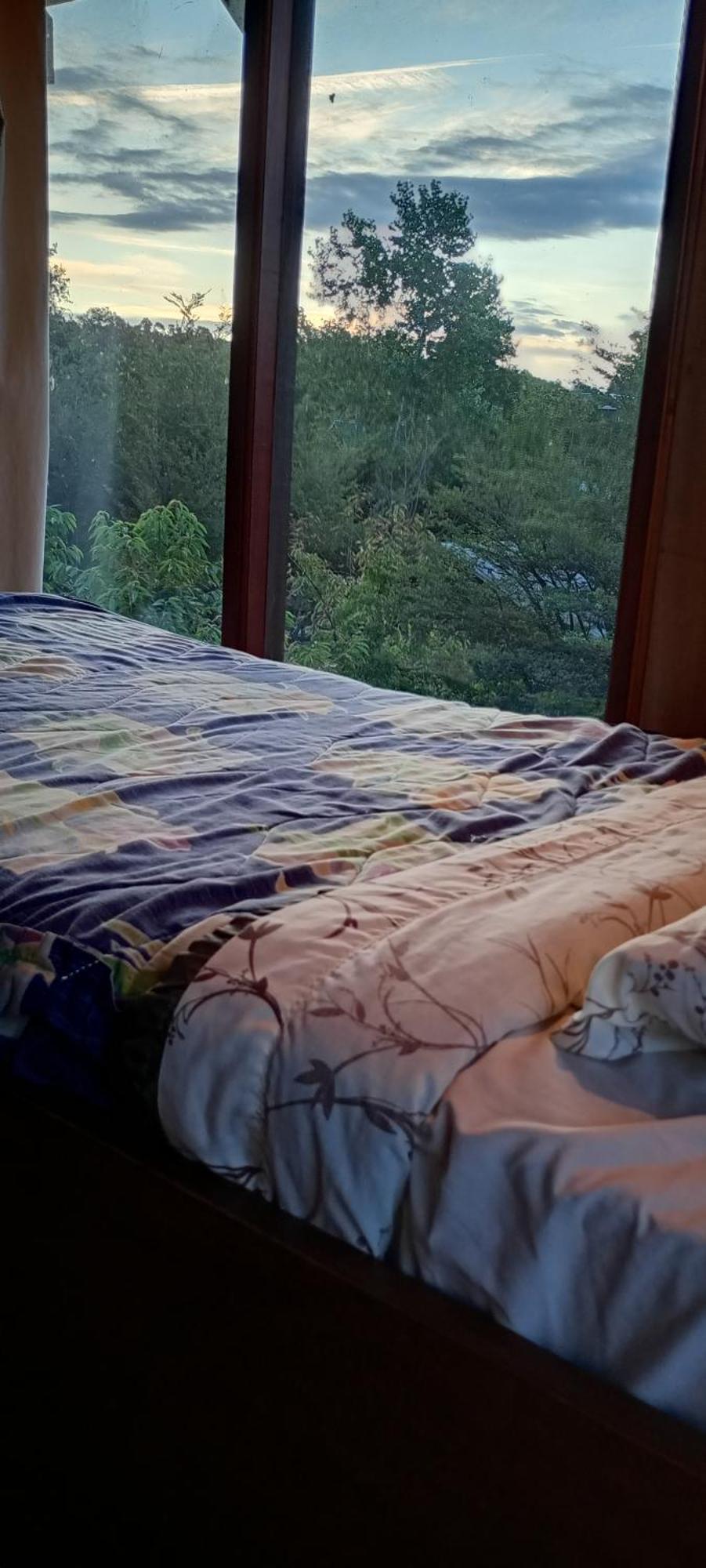 Quillelhue Guest house Pucon